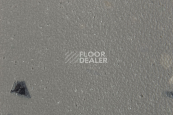 Forbo SureStep Star 176922 concrete фото 3 | FLOORDEALER