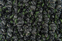 Desso AirMaster Reflection ac 58 9850 фото 5 | FLOORDEALER