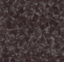 Flotex by Starck Artist 323008 Artist Anthracite / Silver b3 фото 1 | FLOORDEALER