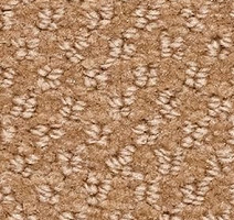 Ковролин Balsan Aquarelle Aquarelle 630 фото 1 | FLOORDEALER