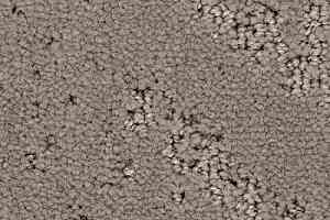 Ковролин Balsan Icone 730 фото  | FLOORDEALER