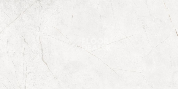 Керамогранит Nolana ( Нолана ) 60 x 120 x 10 NL00 фото 1 | FLOORDEALER