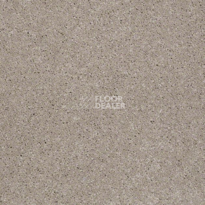 Ковролин Shaw Design Texture Platinum 124 фото 1 | FLOORDEALER