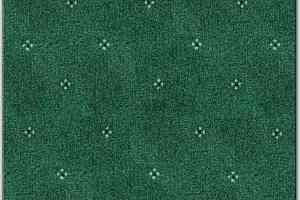 Ковролин AW Animo AW Animo 22 фото  | FLOORDEALER