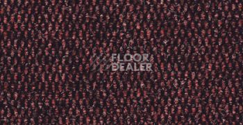 Ковролин Sintelon Favorit 1212 фото 1 | FLOORDEALER