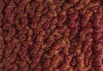 Desso Grain 4211 фото 3 | FLOORDEALER