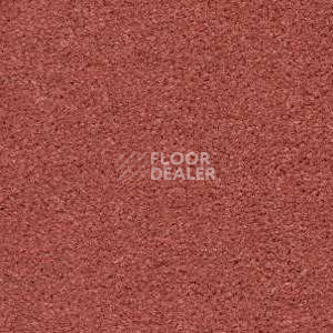 Ковролин Radici Montecarlo 58 фото 1 | FLOORDEALER