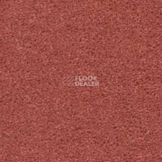 Ковролин Radici Montecarlo 58 фото 1 | FLOORDEALER