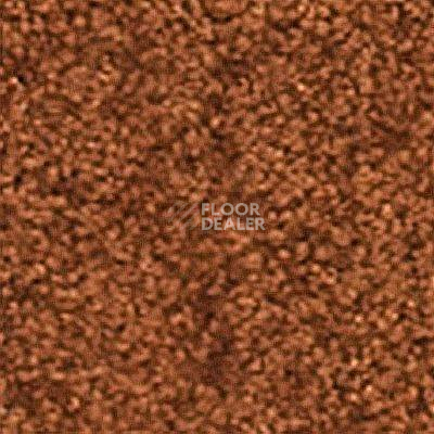 Ковролин Girloon Flair 760 фото 1 | FLOORDEALER
