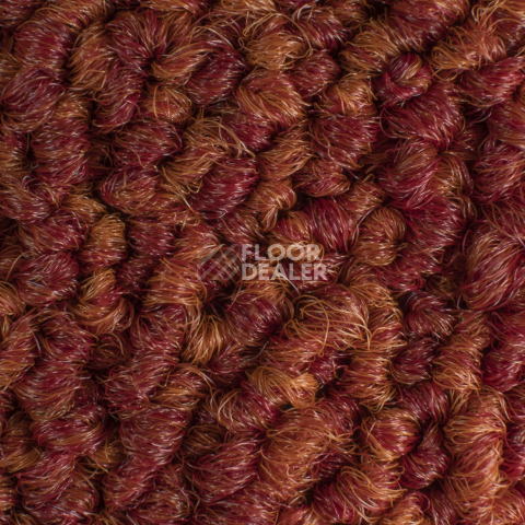 Desso Grain 4211 фото 3 | FLOORDEALER