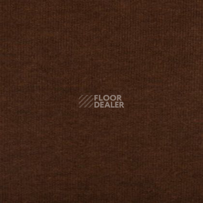 Ковролин Tapibel Nataly 3521 фото 1 | FLOORDEALER