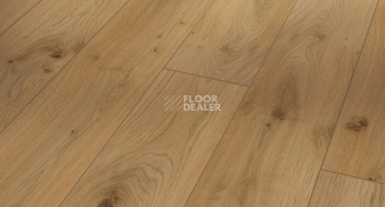 Ламинат Parador Classic 1050 4V 1601449 Дуб Традиция Натуральный фото 1 | FLOORDEALER