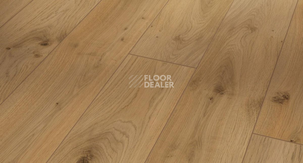 Ламинат Parador Classic 1050 4V 1601449 Дуб Традиция Натуральный фото 1 | FLOORDEALER