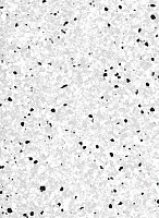 Линолеум Vertigo Barnett VBS3 20 фото 1 | FLOORDEALER