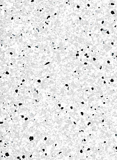 Линолеум Vertigo Barnett VBS3 20 фото 1 | FLOORDEALER