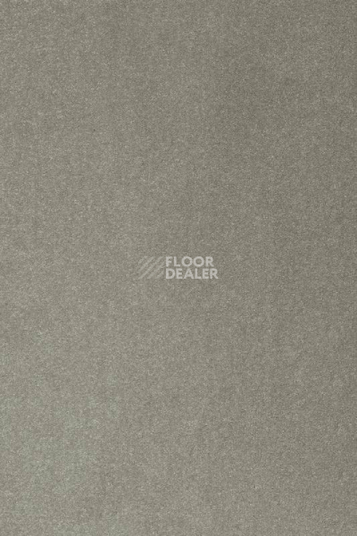 Ковролин AW Masquerade Varuna 29 фото 1 | FLOORDEALER