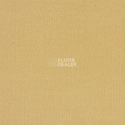 Ковролин Lano Mambo 352 фото 1 | FLOORDEALER