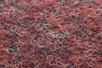 Forbo Akzent 10726 Merlot фото 3 | FLOORDEALER