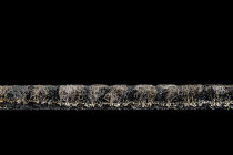 Escom Stitch 4603 фото 3 | FLOORDEALER