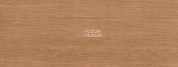 Плинтус Dollken EP 60/13 2035 фото 2 | FLOORDEALER