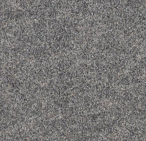 Ковролин Forbo Forte 96002 Granite фото 1 | FLOORDEALER