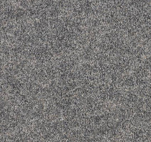 Ковролин Forbo Forte 96002 Granite фото 1 | FLOORDEALER