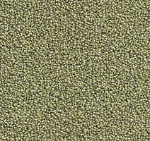 Ковролин Condor Traffic Traffic 42 фото 1 | FLOORDEALER