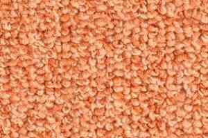 Ковролин Balsan Omega 448 фото  | FLOORDEALER