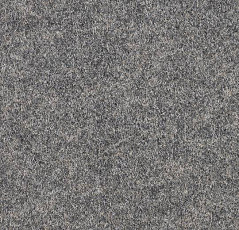 Ковролин Forbo Forte 96002 Granite фото 1 | FLOORDEALER