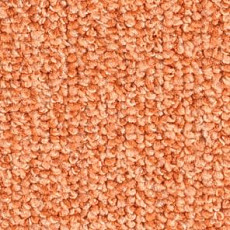 Ковролин Balsan Omega 448 фото 1 | FLOORDEALER