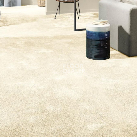Vorwerk Superior 1064/Lyrica Vorwerk 6c68 фото 2 | FLOORDEALER