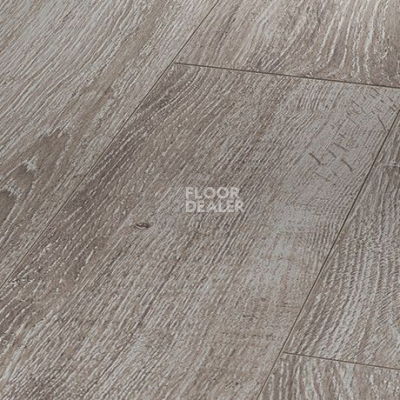 Ламинат Parador Basic Plus 400 V 1426530 Дуб Светло-серый фото 1 | FLOORDEALER