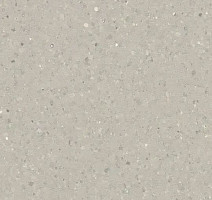 Линолеум Forbo Sphera Elite 50484 coquina фото 1 | FLOORDEALER