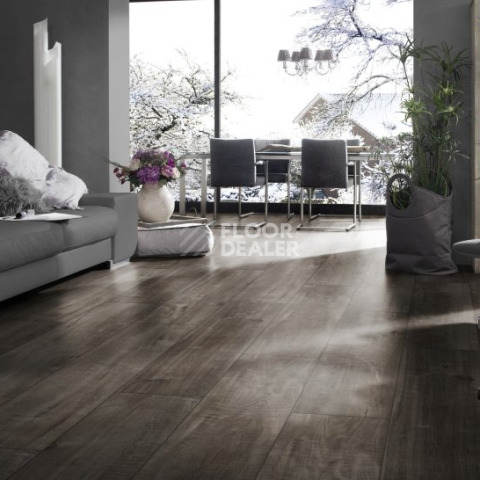 Kronotex Exquisit Plus d4785 Дуб Гала Титан фото 2 | FLOORDEALER