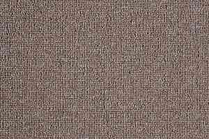 Ковролин Big  Studio 932 фото  | FLOORDEALER