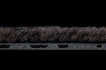 Coral Interior 1530 Midnight Shadow фото 4 | FLOORDEALER