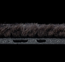 Coral Interior 1530 Midnight Shadow фото 4 | FLOORDEALER