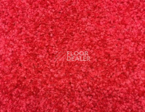 Ковролин SAG Palmira 5018 фото 1 | FLOORDEALER