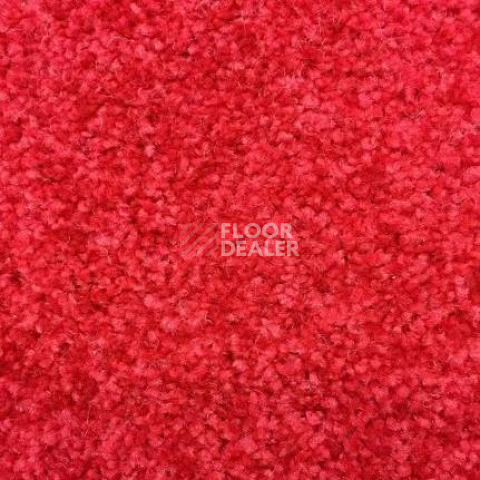 Ковролин SAG Palmira 5018 фото 1 | FLOORDEALER