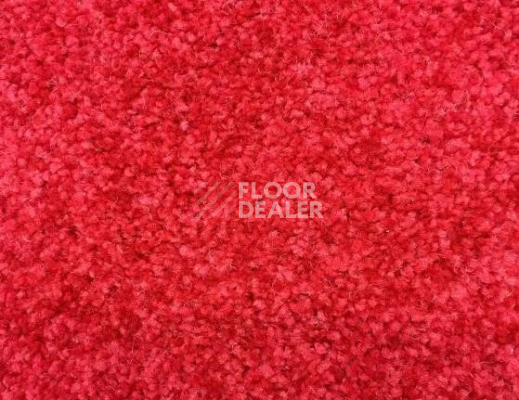 Ковролин SAG Palmira 5018 фото 1 | FLOORDEALER