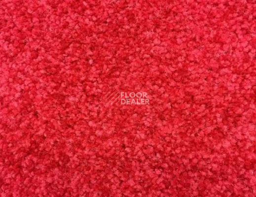 Ковролин SAG Palmira 5018 фото 1 | FLOORDEALER