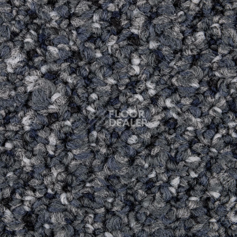 Desso Solid ac 73 9022 фото 3 | FLOORDEALER