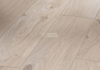 Ламинат Parador Basic Plus 200 V 1594002 Дуб Натурально-серый фото 1 | FLOORDEALER