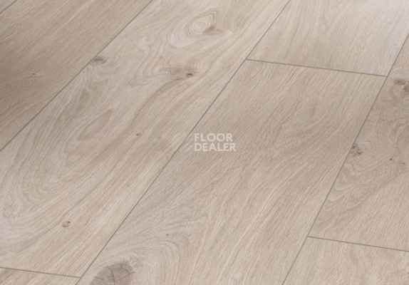 Ламинат Parador Basic Plus 200 V 1594002 Дуб Натурально-серый фото 1 | FLOORDEALER