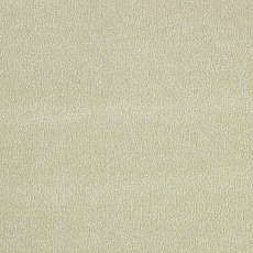 Ковролин AW Secret 03 фото 1 | FLOORDEALER