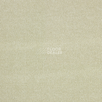 Ковролин AW Secret 03 фото 1 | FLOORDEALER