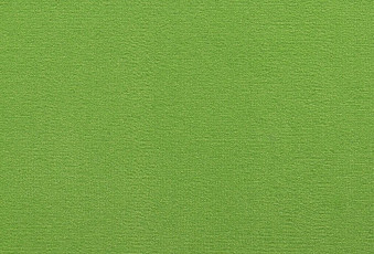 Ковролин ITC Roxane 120 фото 1 | FLOORDEALER