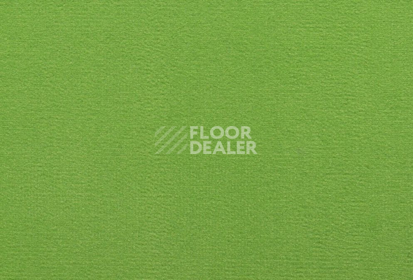 Ковролин ITC Roxane 120 фото 1 | FLOORDEALER
