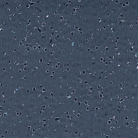 Линолеум Mipolam BioControl El5 2002 Volcano фото 1 | FLOORDEALER