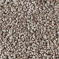 Ковролин Girloon Prestige 870 фото 1 | FLOORDEALER